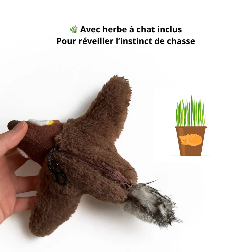 Chass’Plume™ - Le jeu interactif des félins - Panier Pratique