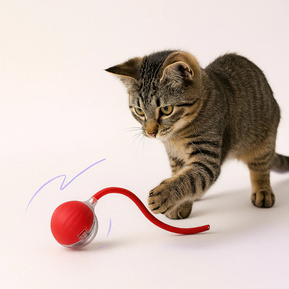 LumiBall™ – La pelota luminosa que entretiene a tu gato