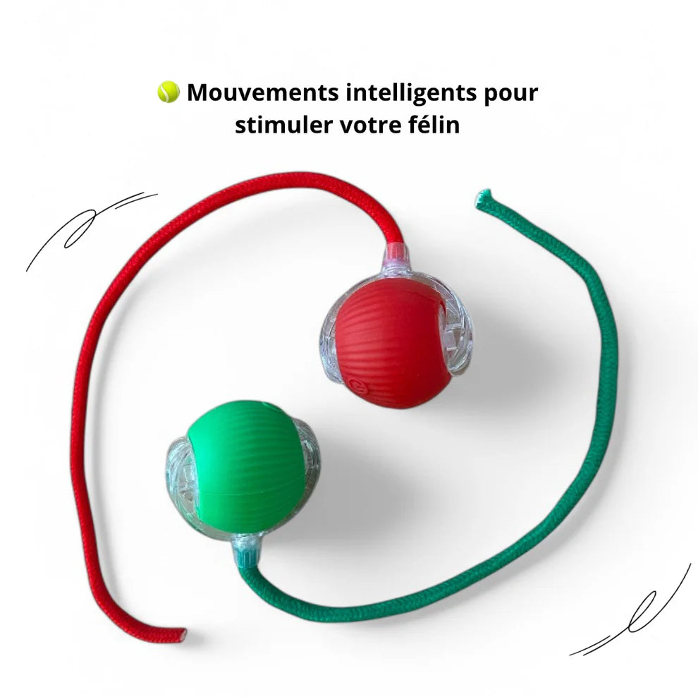 LumiBall™ – La pelota luminosa que entretiene a tu gato