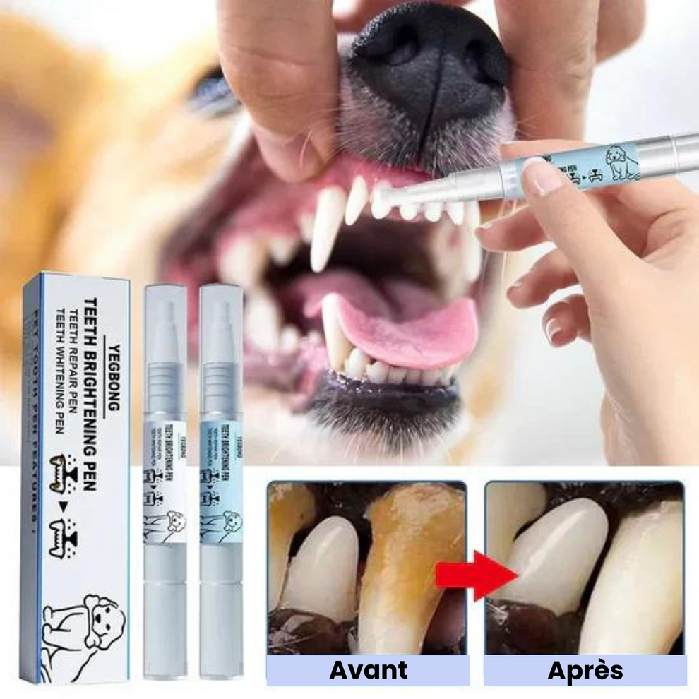 Paquete de 2 bolígrafos Fresh Teeth: antisarro y mal aliento