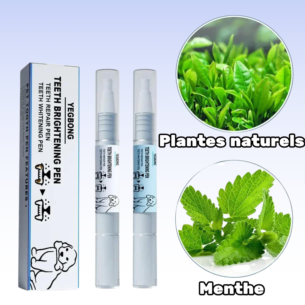 Paquete de 2 bolígrafos Fresh Teeth: antisarro y mal aliento