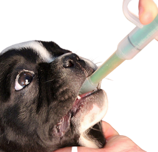 Dispensador médico para animales™