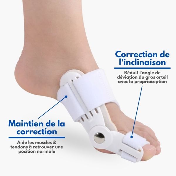 Corrector ortopédico premium™