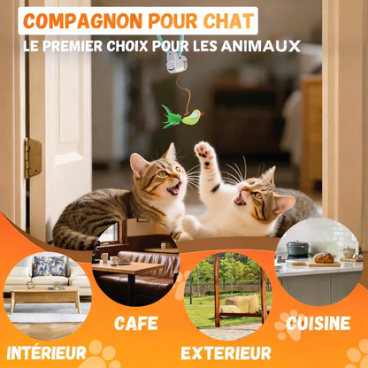 Jouet Intelligent pour Chat – Stimulation & Jeu Automatique