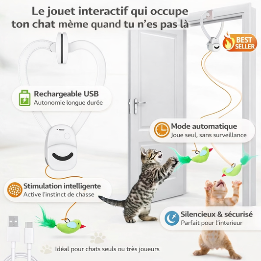 Jouet Intelligent pour Chat – Stimulation & Jeu Automatique