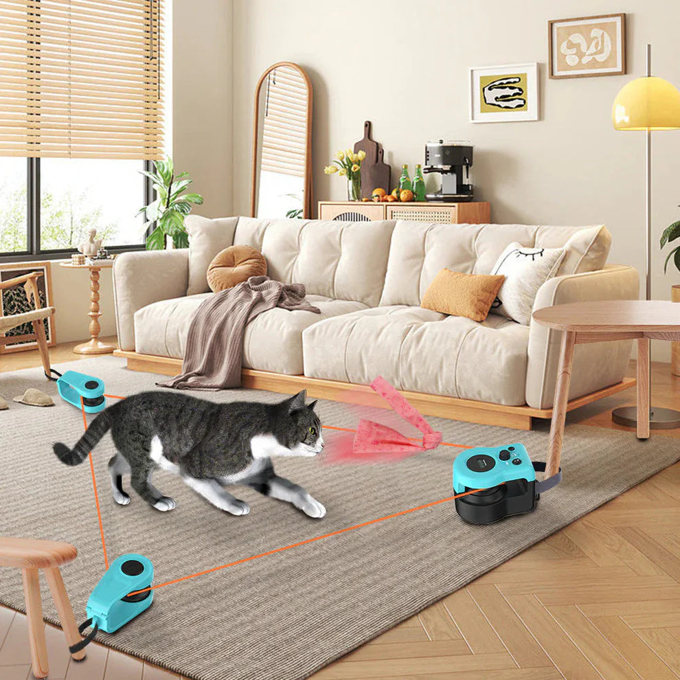 Feline Motion™ – Jouet Interactif Premium pour Chat