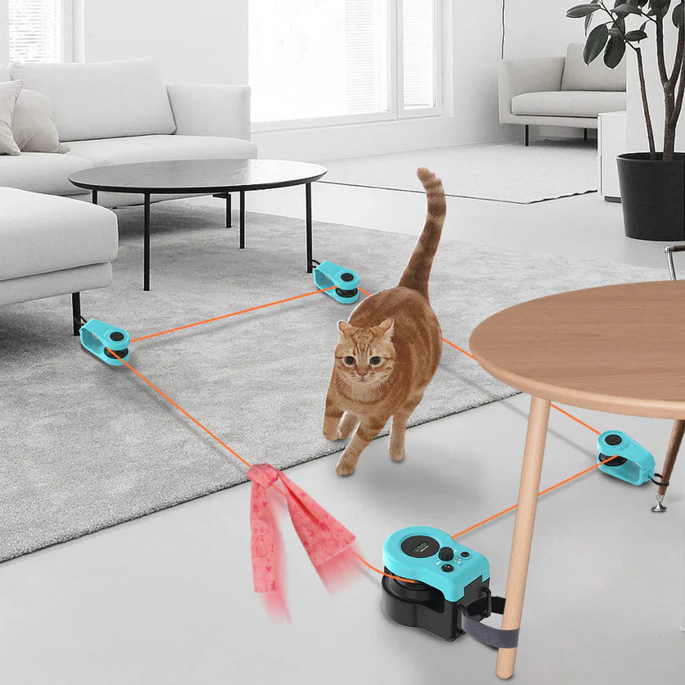 Feline Motion™ – Jouet Interactif Premium pour Chat