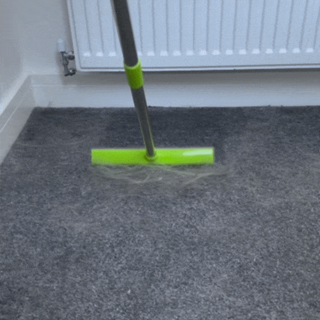 Anti-Hair Broom™ – Professional Results in One Pass