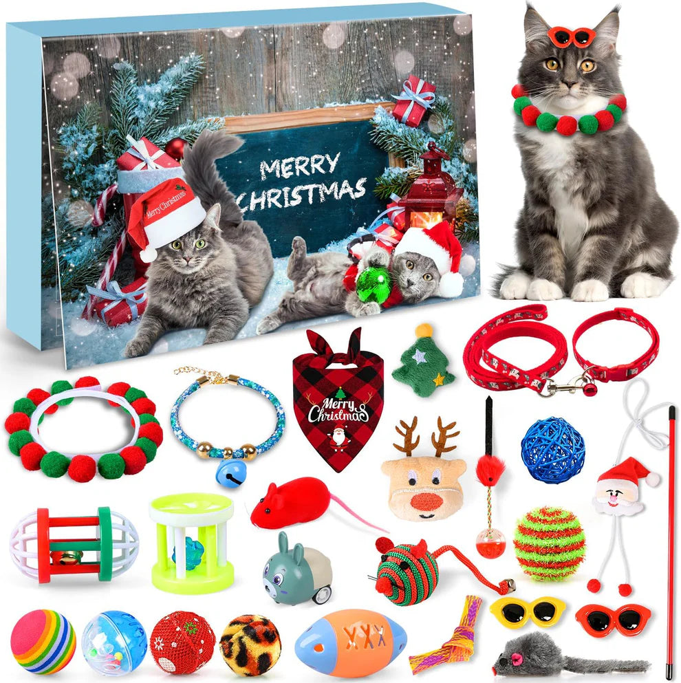Le Calendrier de Noël préféré des Chats 😻🎁