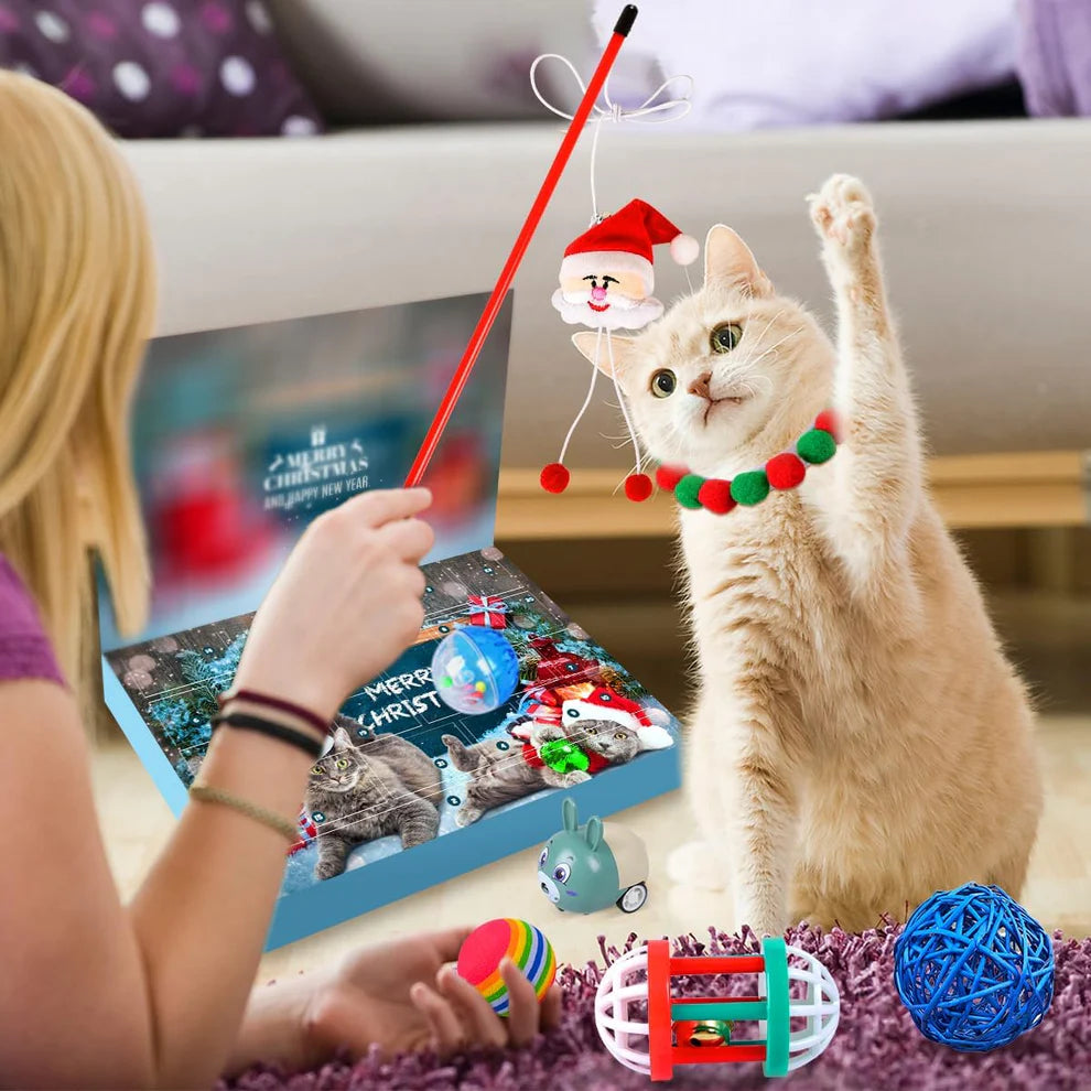 Le Calendrier de Noël préféré des Chats 😻🎁