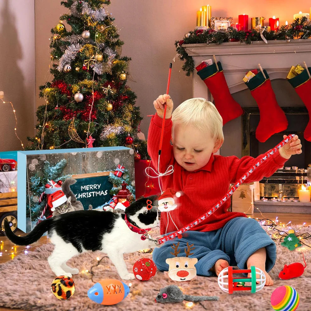 Le Calendrier de Noël préféré des Chats 😻🎁
