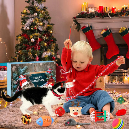 Le Calendrier de Noël préféré des Chats 😻🎁