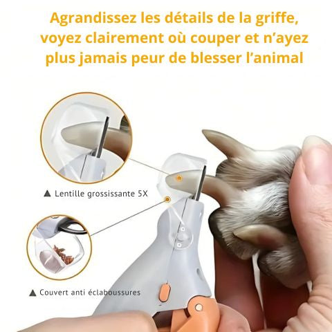 Le Coupe-Griffes LED qui fait le buzz 💡🐾