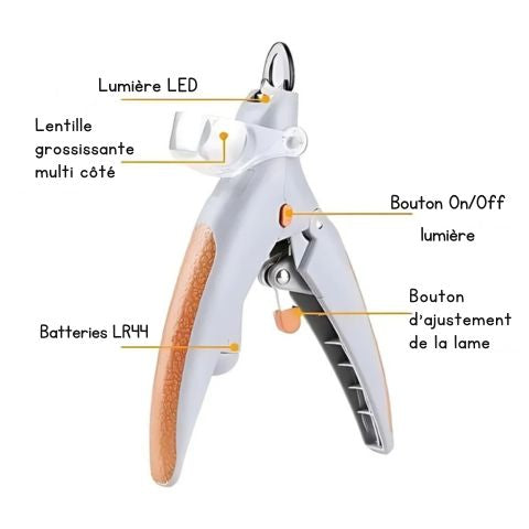 Le Coupe-Griffes LED qui fait le buzz 💡🐾