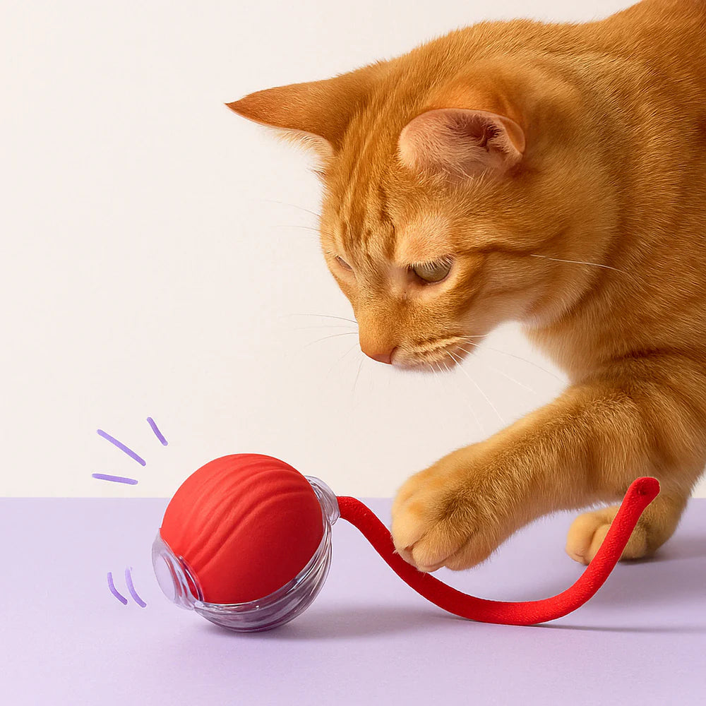 LumiBall™ – La pelota luminosa que entretiene a tu gato