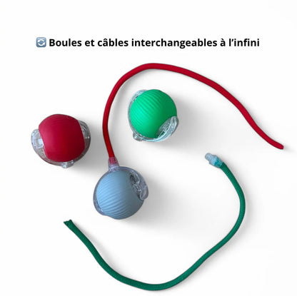 LumiBall™ – La pelota luminosa que entretiene a tu gato
