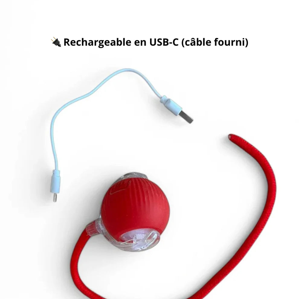 LumiBall™ – La pelota luminosa que entretiene a tu gato