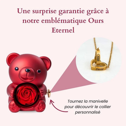 Ours Éternel & Collier Personnalisé