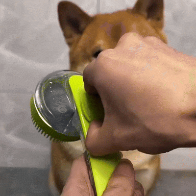 2-in-1 Pet Shower Brush