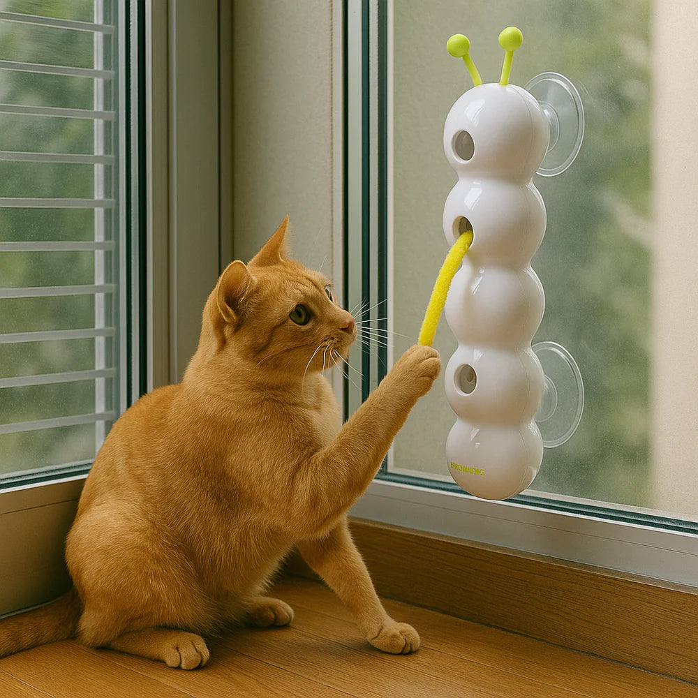 StimuliCat™ – La Chenille Intelligente Interactif Premium