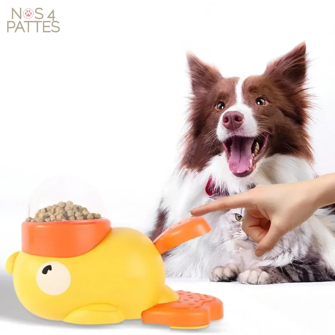 SnackDuck™ – Smart kibble dispenser