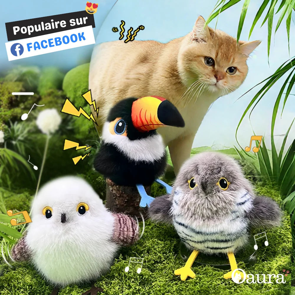 Chass'Plume™ - The interactive game for felines