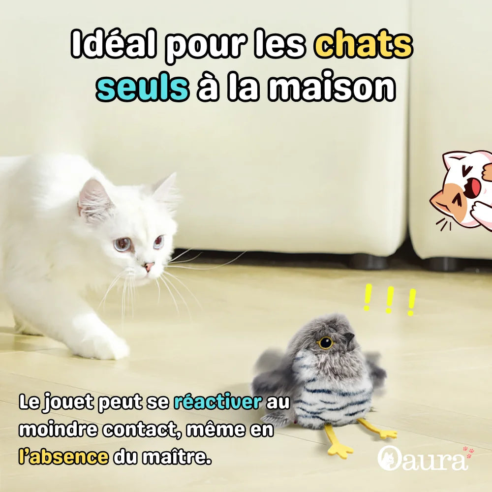 Chass’Plume™ - Le jeu interactif des félins