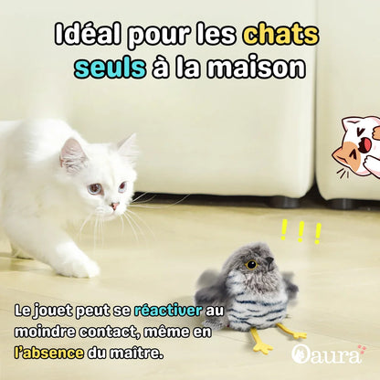 Chass’Plume™ - Le jeu interactif des félins
