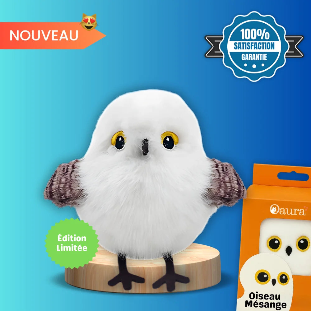 Chass’Plume™ - Le jeu interactif des félins