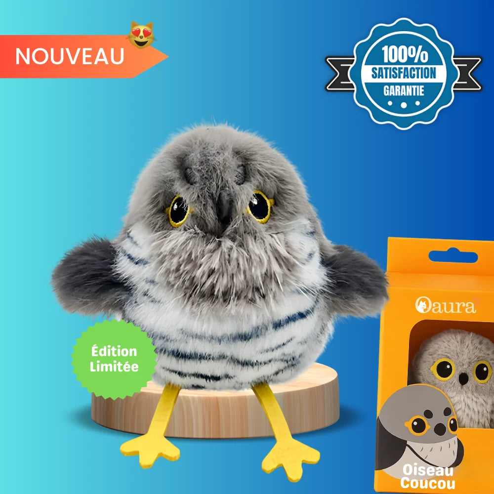 Chass’Plume™ - Le jeu interactif des félins