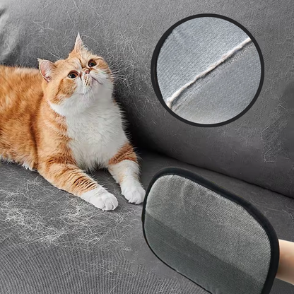 gant anti-poils pour un nettoyage efficace des animaux
